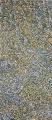 Bush Plum Dreaming