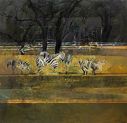Zebras, 1981
