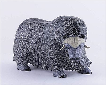 Musk Ox