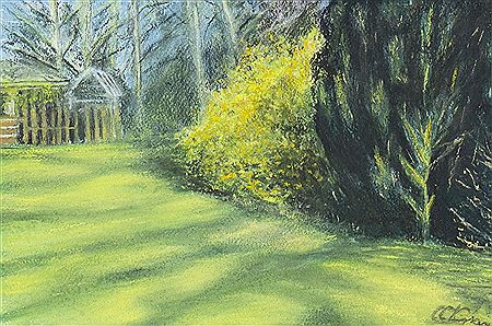 EVENING SHADOWS