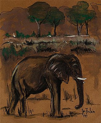 Elephant dans la savane