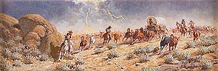 Stampeded by the Summer Storm