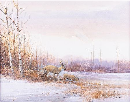 Whitetails