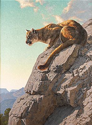 The Surveyor