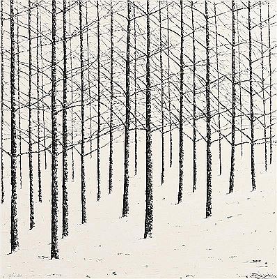 Hushed Snow