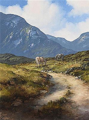 Ponies at Maam Valley, Connemara (2007)
