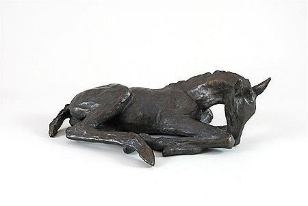 Ruhendes Pferd