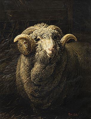 Portrait of a ram