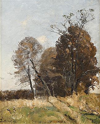 Autumnal trees