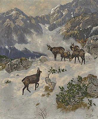 Gemsen in winterlicher Hochgebirgslandschaft