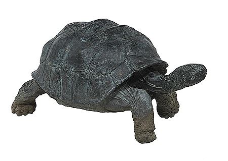 "Turtle", 1987 by Tom Knapp - Auction record, sale price, and art valuation. Compare with similar artists and explore comparable artworks.