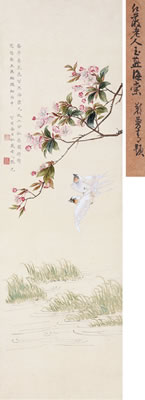 Chinese Flowering Crabapple