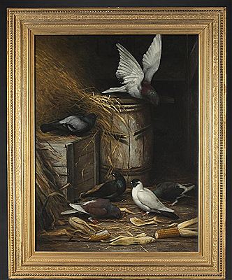 Pigeons in barn with corn