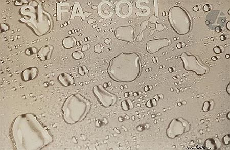 If Fa Cosi 1966