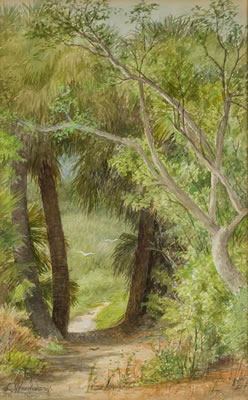 A View Through the Trees
