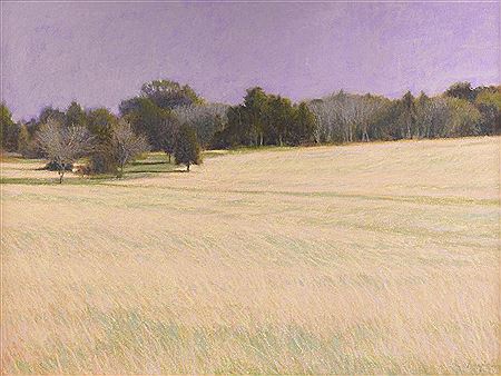 "'Undulations' Fuch's Field," 2001 by William Anzalone - Auction record, sale price, and art valuation. Compare with similar artists and explore comparable artworks.