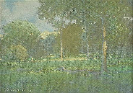 "Afternoon Light"