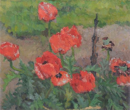 Mohn
