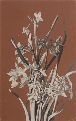 Jonquille / Dichternarzissen / Efeu by Oskar Schroder - Auction record, sale price, and art valuation. Compare with similar artists and explore comparable artworks.