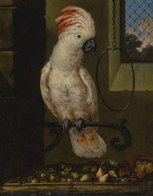 A WHITE PARROT ON A PERCH