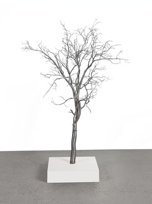 Roxy Paine - artist photo