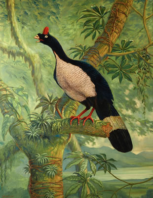 Sample artwork by Nigel Hughes (Born 1940), known for painting - View similar artists and auction records