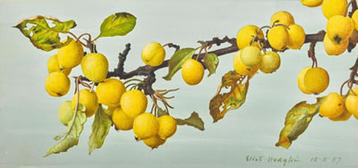 GOLDEN CRAB APPLES by Eliot Hodgkin - Auction record, sale price, and art valuation. Compare with similar artists and explore comparable artworks.