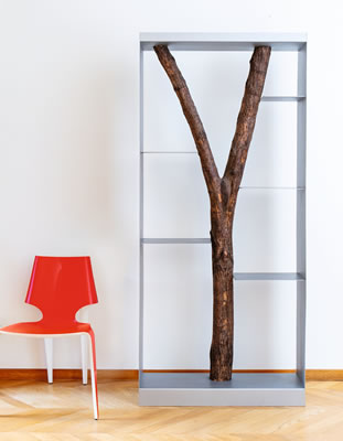 PICCOLO ALBERO BOOKCASE
