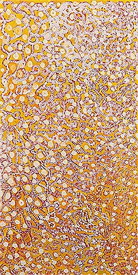 Maku Tjukurpa, 2000