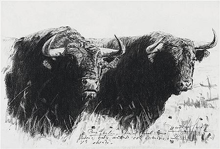 Toros by Demetrio Sanz - Auction record, sale price, and art valuation. Compare with similar artists and explore comparable artworks.