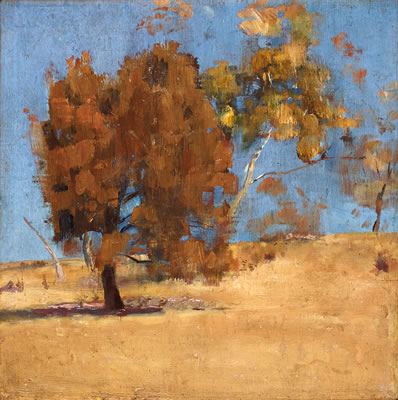 She-Oak and Sunlight (1889)