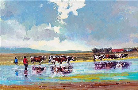 NGUNI COWS IN A POND