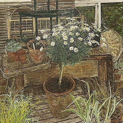 'STANDARD MARGUERITE'