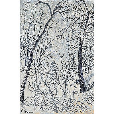 Winter Forest