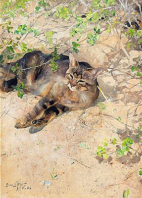 The cat Jeppe in the spring sun