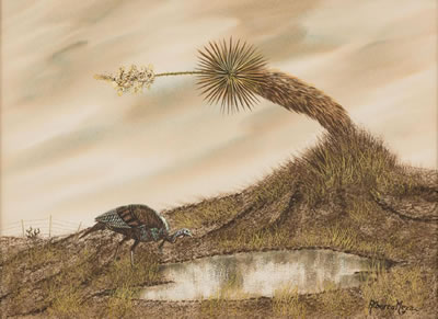 Turkey at the Water Hole, 1971 by Alberto Meza - Auction record, sale price, and art valuation. Compare with similar artists and explore comparable artworks.
