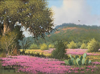 Texas Verbena