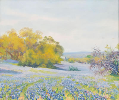 Bluebonnets