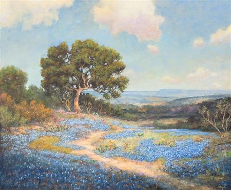 Bluebonnets-Spring in Texas