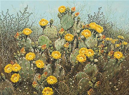 Blooming Cactus, 1978 by Helen Hunter - Auction record, sale price, and art valuation. Compare with similar artists and explore comparable artworks.