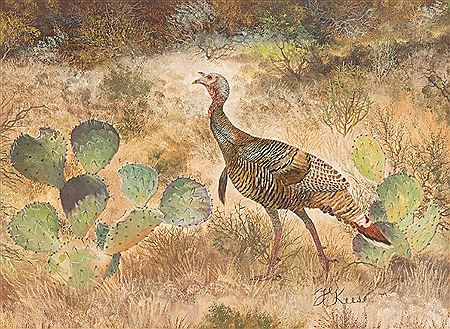 Turkey
