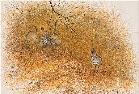 Quail and Cactus