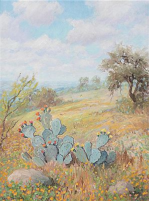 Cactus Landscape