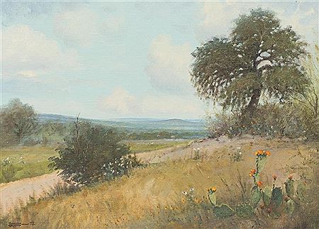 Hill Country Cactus, 1972