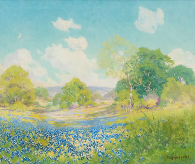 Bluebonnets