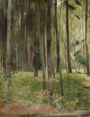 Waldlandschaft