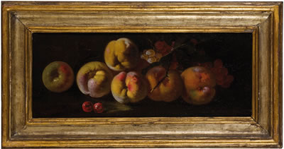 Coppia di nature morte