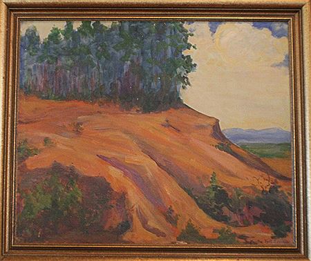Martha Fort Anderson - artist photo