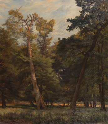 Waldstück by Carl Hansen - Auction record, sale price, and art valuation. Compare with similar artists and explore comparable artworks.