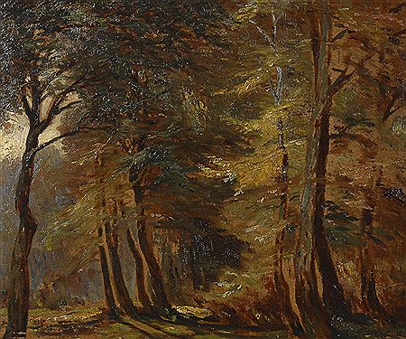Sonniger Wald